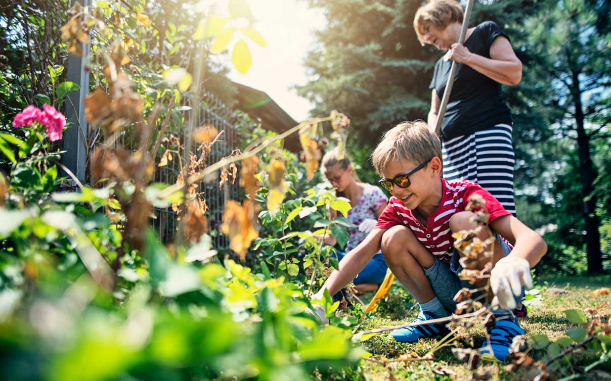 Family cleaning vegetation along fence