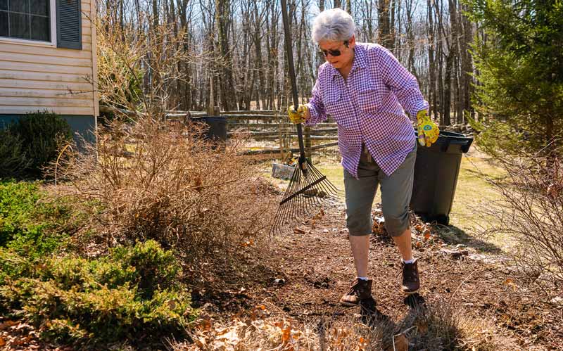 Woman raking fall foilage in yard